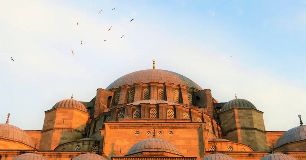 Maltepe Ceza Davası Avukatı