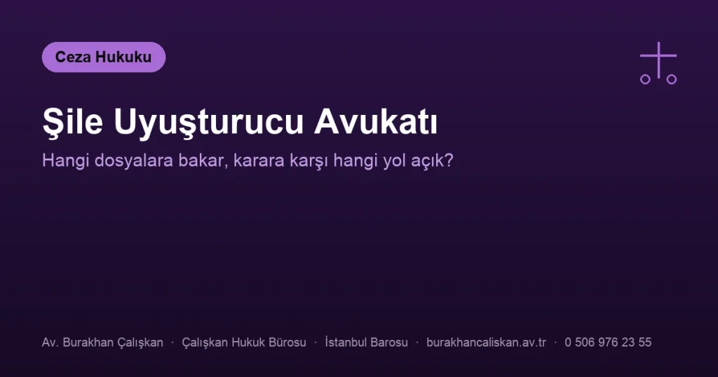 Şile Uyuşturucu Avukatı | Hangi Dosyalara Bakar?