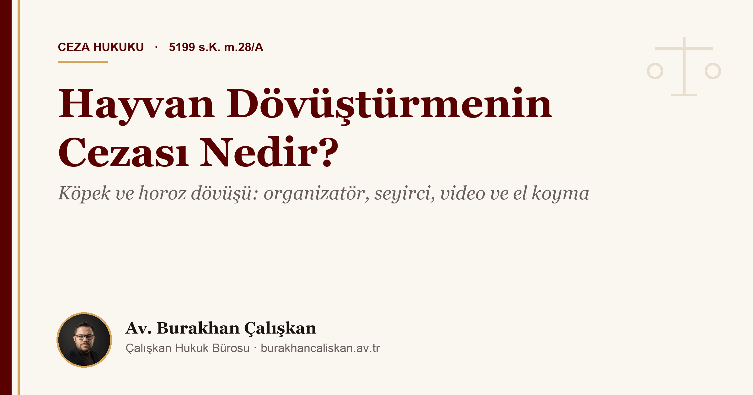 Hayvan Dövüştürmenin Cezası Nedir? Köpek ve Horoz Dövüşü