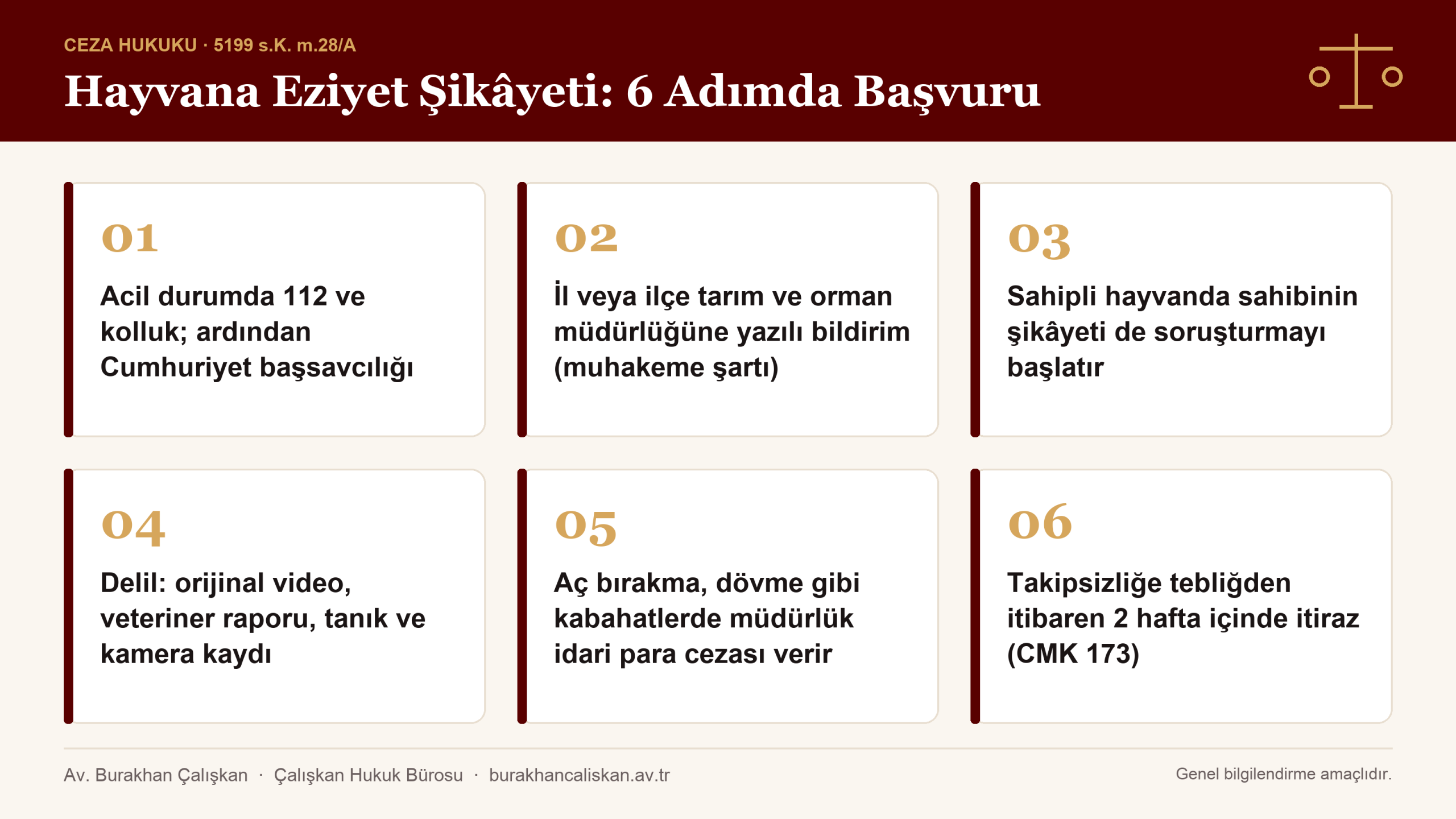 Hayvana eziyet şikayeti için 6 adım: kolluk ve savcılık, tarım ve orman müdürlüğü, hayvan sahibinin şikâyeti, delil, idari para cezası ve itiraz infografiği
