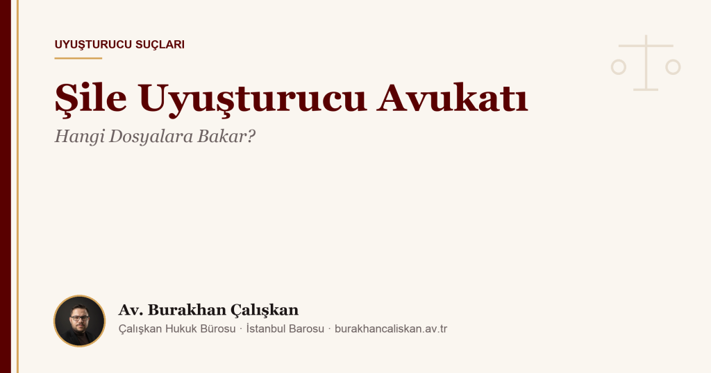 Şile Uyuşturucu Avukatı | Hangi Dosyalara Bakar?